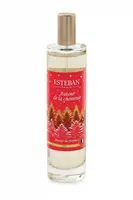 Izbová vôňa Esteban Around The Fireplace 75 ml