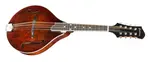 Eastman MD505