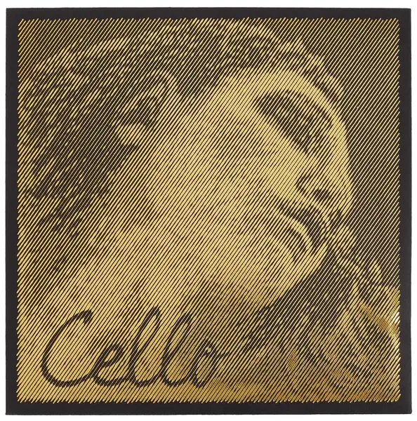 Pirastro Evah Pirazzi Gold Vcl Set medium