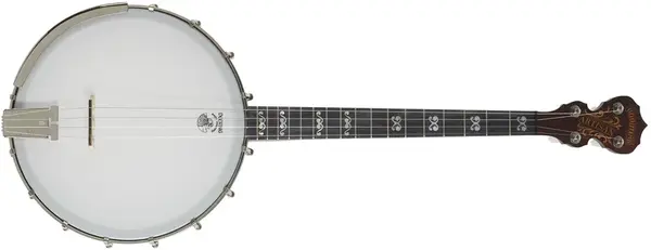 Deering Artisan Goodtime 17-Fret Tenor