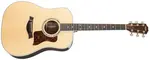 Taylor Legacy 810e