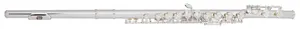 Bacio Instruments BFL-150C