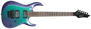 Cort X300 FPU