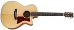 Sigma Guitars GMC-1E