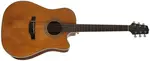 Takamine GD20CE-NS