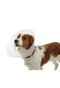 Límec ochranný Buster plastový Classic Collar 40cm