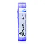 Ruta graveolens 30CH granule 4g