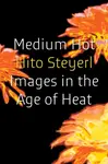 Medium Hot - Hito Steyerl
