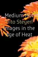 Medium Hot - Hito Steyerl