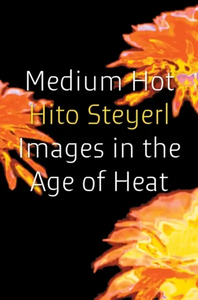 Medium Hot - Hito Steyerl