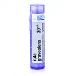 Ruta graveolens 30CH granule 4g