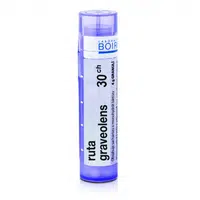 Ruta graveolens 30CH granule 4g