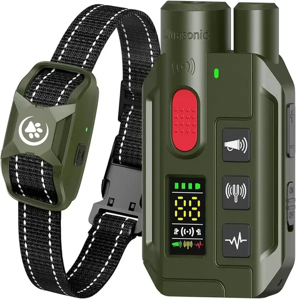 Reedog RS11 - pro 1 psa