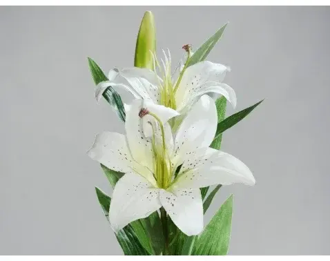 Umelá kvetina Lilie 78 cm, krémová%