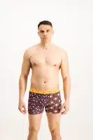 Pánske boxerky Frogies Zodiac Lev