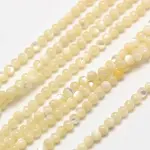 Shell Round Beads Strands