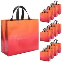 Non-Woven Reusable Folding Gift Bags with Handle