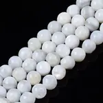Natural Freshwater Shell Beads Strands