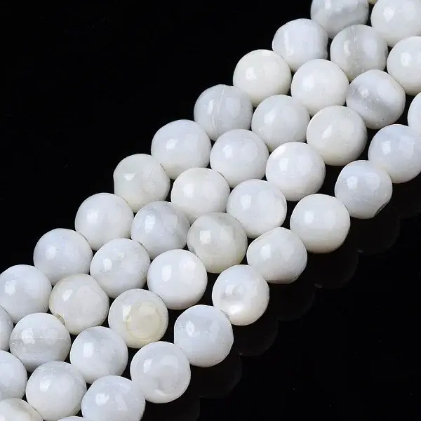 Natural Freshwater Shell Beads Strands