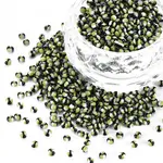 12/0 Glass Seed Beads