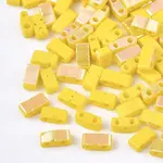 Electroplate Opaque Glass Seed Beads