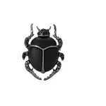 Creative Beetle Enamel Pin