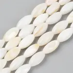 Natural Freshwater Shell Beads Strands