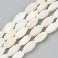 Natural Freshwater Shell Beads Strands