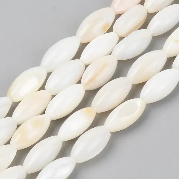 Natural Freshwater Shell Beads Strands