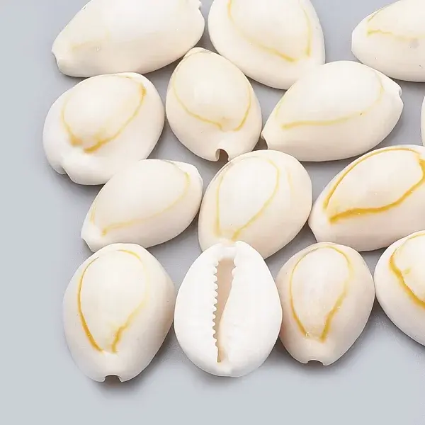 Cowrie Shell Beads