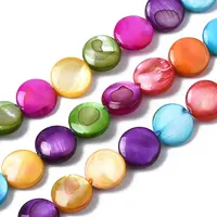 Natural Freshwater Shell Beads Strands