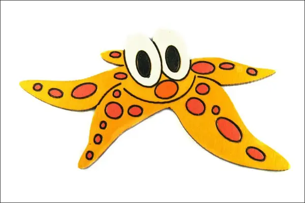 A58,59,60,61 hvězdice mořská - 300 mm