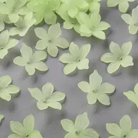 Frosted Acrylic Bead Caps