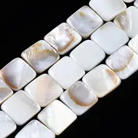 Natural Freshwater Shell Beads Strands
