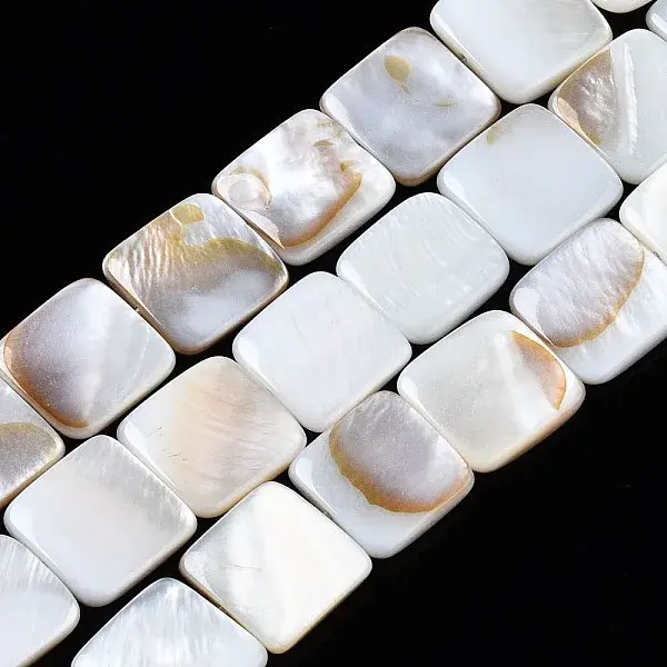 Natural Freshwater Shell Beads Strands