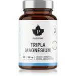 Puhdistamo Triple Magnesium kapsle pro podporu činnosti nervové soustavy 60 cps