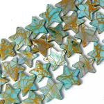 Natural Freshwater Shell Beads Strands