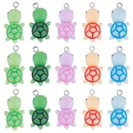 30Pcs 5 Colors Opaque Resin Pendants