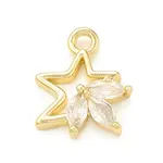 Clear Glass Pendnants