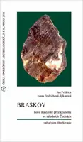 Braškov - nové naleziště přezleticienu ve středních Čechách - Ivana Fridrichová-Sýkorová, Jan Fridrich