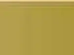 Pastel Caran d'Ache Neocolor I 249 Olive