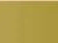 Pastel Caran d'Ache Neocolor I 249 Olive