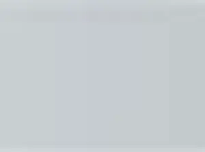 Pastel Caran d'Ache Neocolor I 498 Silver