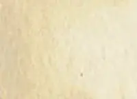 Akvarelová barva DS 5ml – 009 Buff Titanium