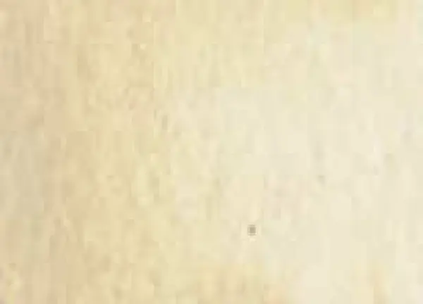 Akvarelová barva DS 5ml – 009 Buff Titanium