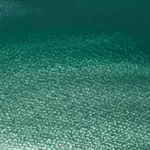 Akvarelová barva W&N 1/2 – 346 Cobalt Green Deep