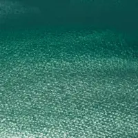 Akvarelová barva W&N 1/2 – 346 Cobalt Green Deep