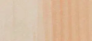 Copic classic marker – R00 Pinkish White