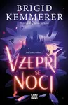 Vzepři se noci - Brigid Kemmererová