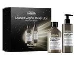 Darčeková sada pre poškodené vlasy Loréal Professionnel Serie Expert Absolut Repair Molecular Duo Meteora - L’Oréal Professionnel + darček zadarmo